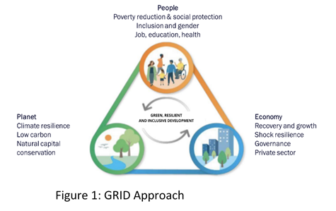 Green Resilient and Inclusive Development: Private sector role and Challenges