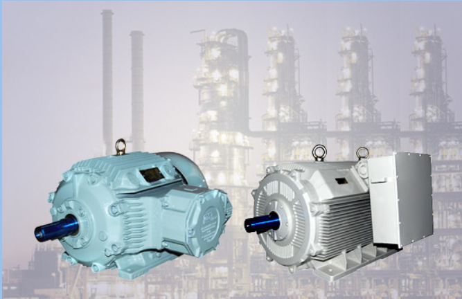 Low Voltage Motors